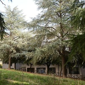 波坦察欧罗巴住宿加早餐旅馆住宿加早餐旅馆 Exterior photo