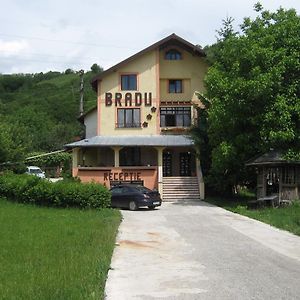 Piatra Neamţ Pensiunea Bradu酒店 Exterior photo