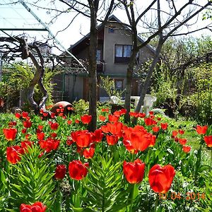 Milorava'S Guest House & Wine Cellar 泰拉维 Exterior photo