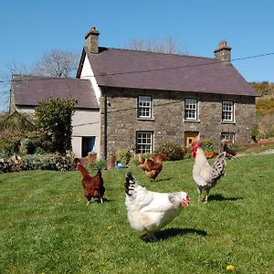 LlandysulNantgwynfaen Organic Farm Wales别墅 Exterior photo