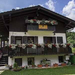 根兹内拉住宿加早餐旅馆 Perarolo di Cadore Exterior photo