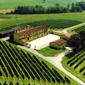 Cascina Fietta - Wine Dreams Apartments Pontestura Exterior photo