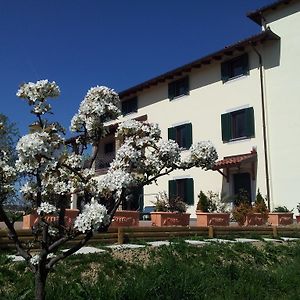 罗莎卡米拉住宿加早餐旅馆 Carpeneto Exterior photo