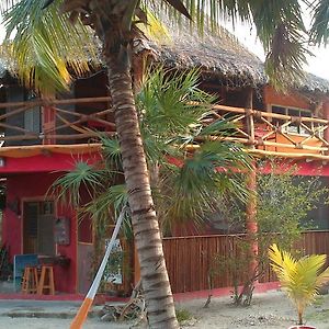 卡萨瑟蕾莎酒店 Isla Holbox Exterior photo