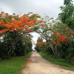 Orchid Garden Eco-Village Hotel Belize 伯利兹城 Exterior photo