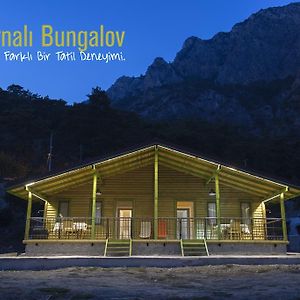 Turnali Bungalow Kirankoy Exterior photo