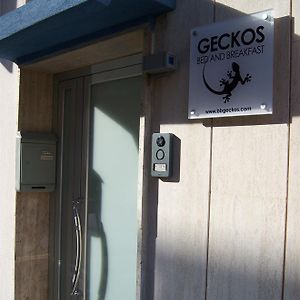 Bed And Breakfast Geckos 布林迪西 Exterior photo