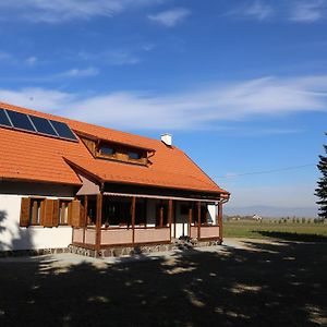 Borzont Ezuestfenyo Agroturisztikai Panzio酒店 Exterior photo