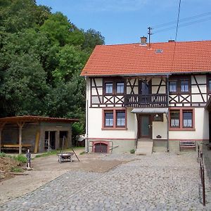 MörlenbachPferdehof Und Wanderreitstation Doersam别墅 Exterior photo