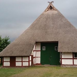 PeckatelGehoeft Nr X Zu Peccatel Vor Den Toren Von Schwerin Nahe Stoerkanal Bei Plate公寓 Exterior photo