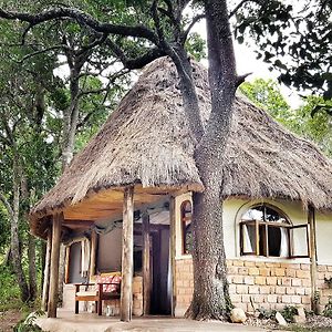 马赛马拉 House In The Wild旅馆 Exterior photo