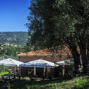 Agriturismo Murike Santa Marina  Exterior photo