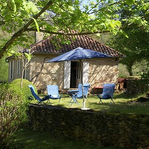 Beautiful Holiday Home In Wooded Grounds Near Villefranche Du P Rigord 7 Km Exterior photo