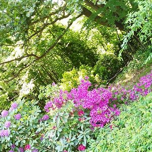 竹篙花园住宿加早餐旅馆 菲亚诺 Exterior photo