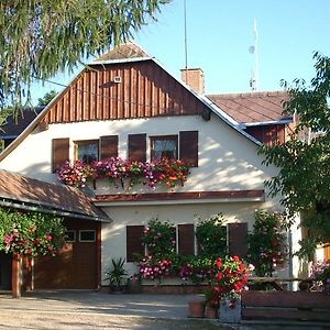 Jestrabi V Krkonosich Pension Ivanka酒店 Exterior photo