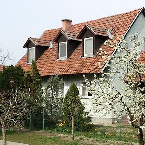 CsongrádGyula-Tanya Vendeghaz别墅 Exterior photo