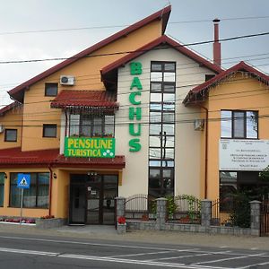 Piatra Neamţ 巴克斯旅馆酒店 Exterior photo