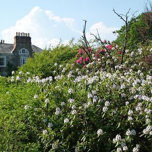 Chipperkyle Country House B&B Kirkpatrick Durham Exterior photo