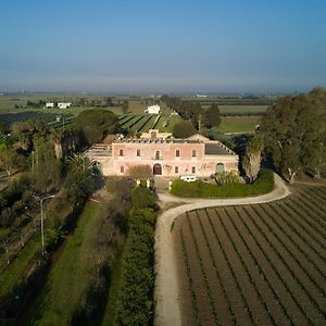 Masseria Mazzetta Salento Corte Del Falconiere B&B 萨利切萨伦蒂诺 Exterior photo