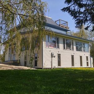 Shamrock Beach Cottage Port Albert Exterior photo