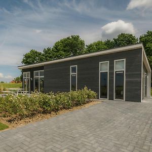 Modern Chalet At The Edge Of A Forest Near The Oosterschelde 韦默尔丁厄 Exterior photo