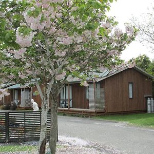 219 On Johns Motel & Holiday Park 基督城 Exterior photo