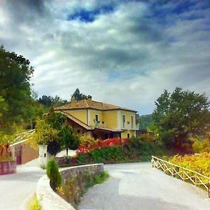 莫尔曼诺Agriturismo Donna Bianca别墅 Exterior photo