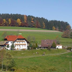 Biederbach Baden-WürttembergDischhof别墅 Exterior photo