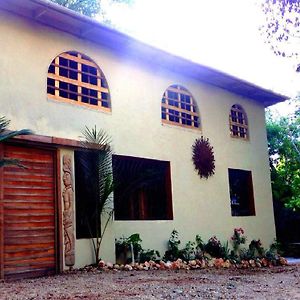 Cacao Rainforest Lodge 贝尔莫潘 Exterior photo