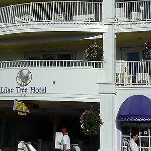 Lilac Tree Suites 麦基诺岛 Exterior photo