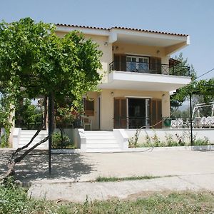 Villa Vlichos 阿马林索斯 Exterior photo