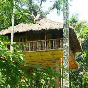 Kalidasa Tree House And Villa, Wayanad Chegāt Exterior photo