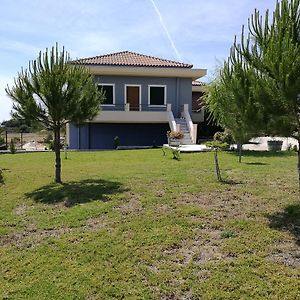 Alekos Beach Houses-Angelo 里科索翁 Exterior photo