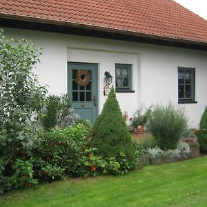 DoberschutzRuhe Geniessen Bei Kulbes公寓 Exterior photo