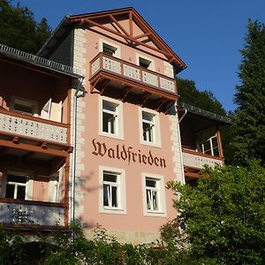 Bio-Hotel Villa Waldfrieden 巴特尚道 Exterior photo