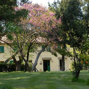 ScapezzanoLocanda Strada Della Marina住宿加早餐旅馆 Exterior photo