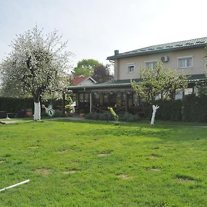 克里特欣克斯住宿加早餐旅馆 Hrvatski Leskovac Exterior photo