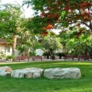 Kibbutz Almog酒店 Exterior photo