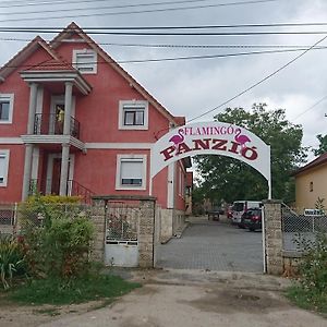 SzékesfehérvárFlamingo Panzio住宿加早餐旅馆 Exterior photo