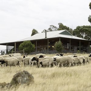 Gilgraves Vineyard Farmstay Axedale Exterior photo