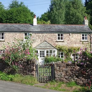 Beulah Cottage Cinderford Exterior photo