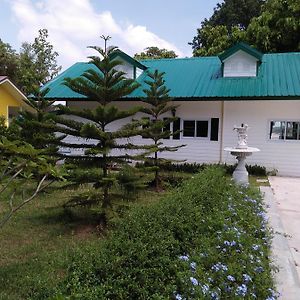 莫拉限河上菩提树住宿加早餐旅馆住宿加早餐旅馆 Exterior photo