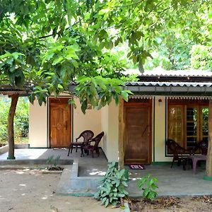 Sigiriya Freedom Lodge 丹不拉 Exterior photo