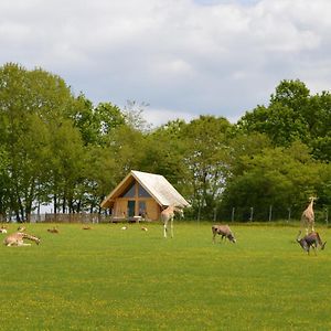 杜瑞诺山林小屋 Le Vigen Exterior photo