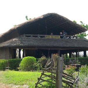 巴蒂亚生态山林小屋 Bardiya Exterior photo