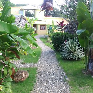 Yasipark - Nature Park Und Ecolodge Yasica Arriba Exterior photo