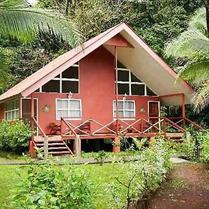 Caribbean Paradise Eco-Lodge 托尔图格罗 Exterior photo