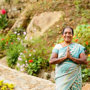 Meena Amma'S Tea Experience Boragasketiya Exterior photo