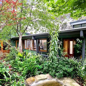 The Black Cockatoo - Secret Garden Treetops Home 肯图巴 Exterior photo