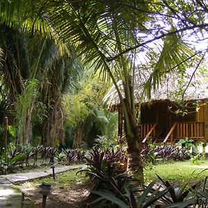 Cohune Palms River Cabanas Bullet Tree Falls Exterior photo